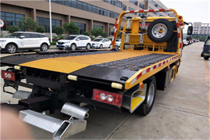 奉城镇24小时汽车送油服务公司